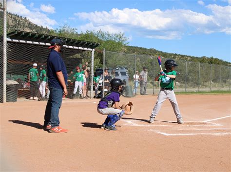 bats for 8u coach pitch.